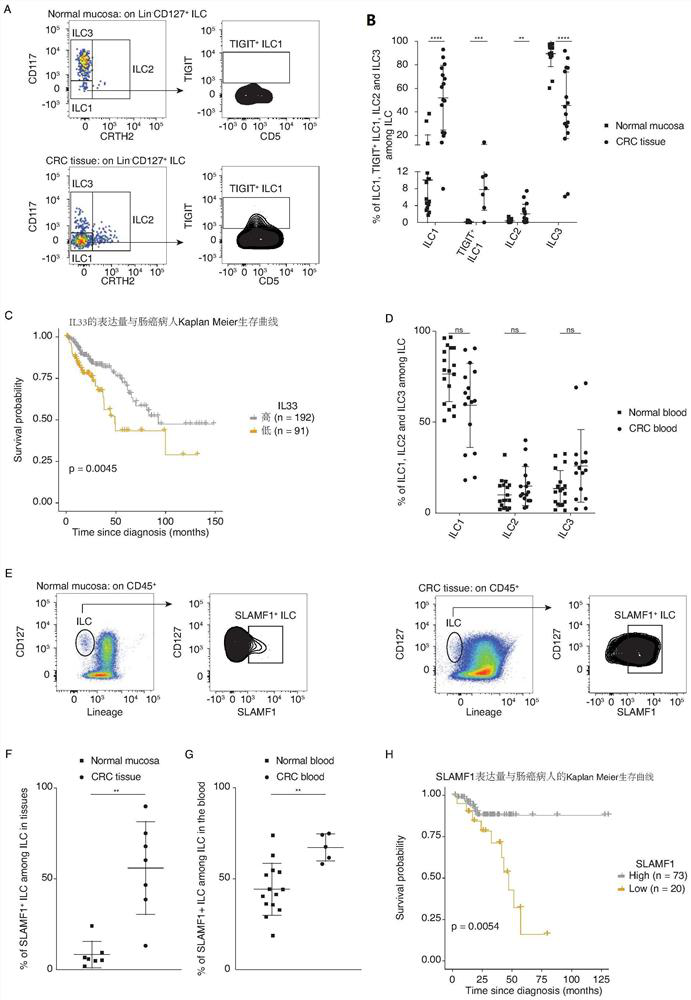 Colorectal cancer biomarker and application thereof in diagnosis, prevention, treatment and prognosis