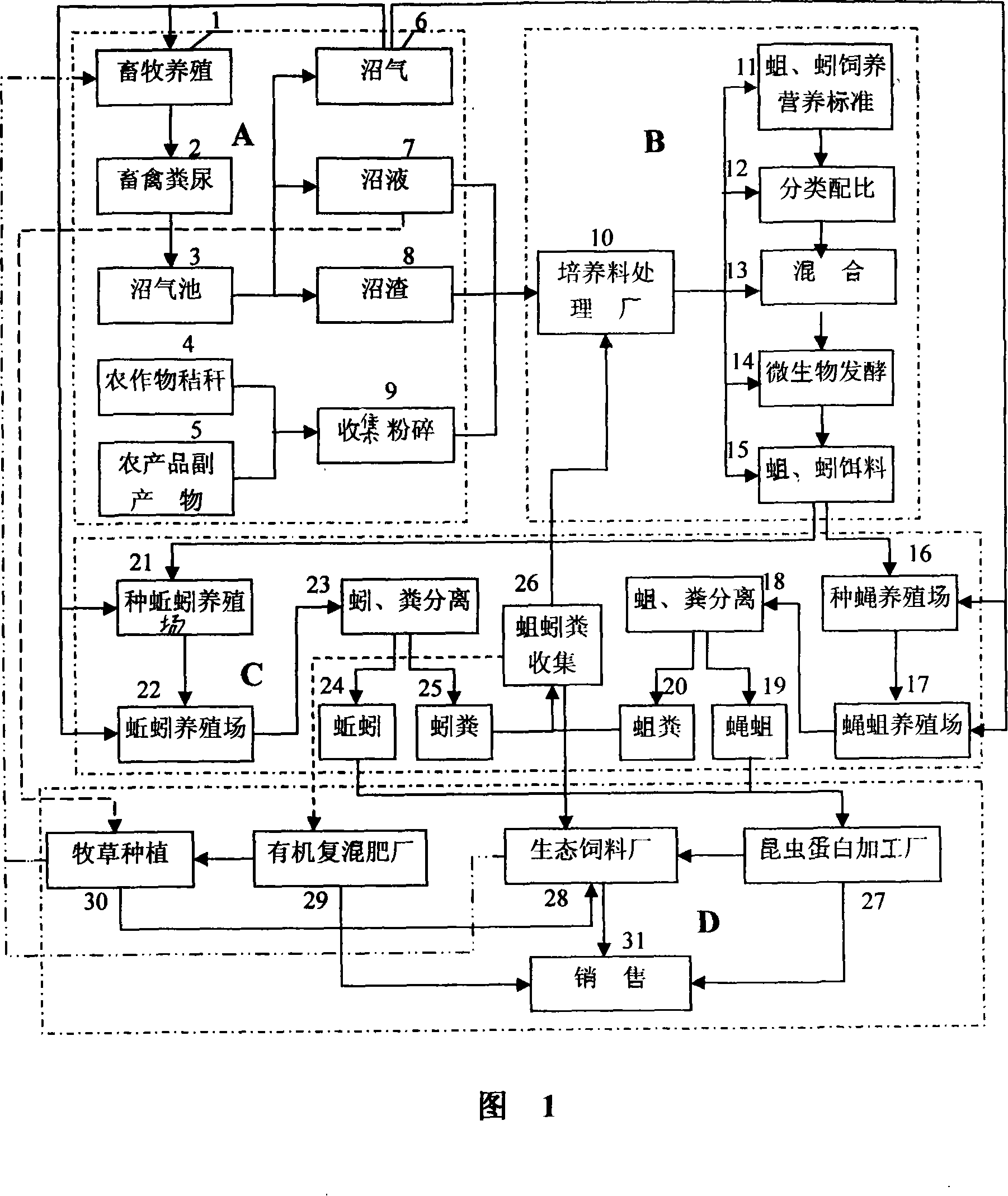 Fly maggot, earthworm ecological efficient circulation culturing method and culturing apparatus therefor