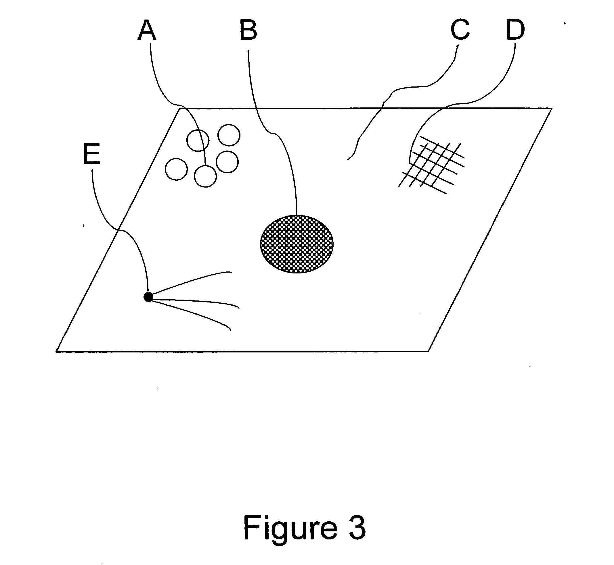 Method for enhancing transport of semiconductor nanocrystals across biological membranes