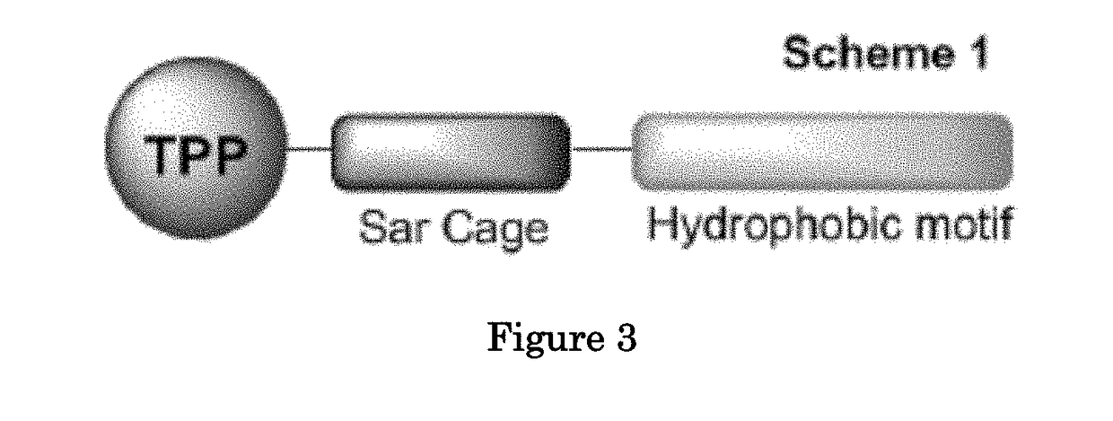 Methods and compositions for positron emission tomography myocardial perfusion imaging