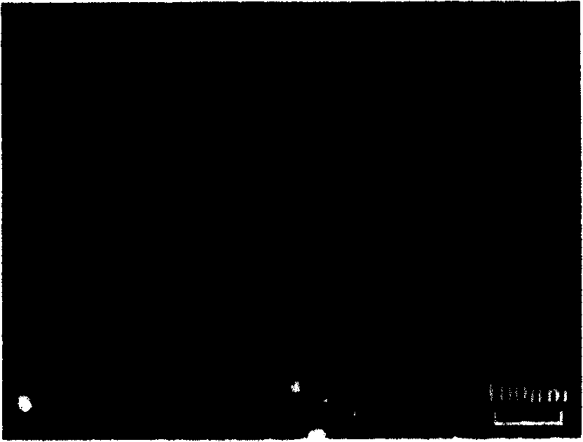 Process for preparing porous anode aluminium oxide mould of height ordered by mixed acid electrolyzing liquid