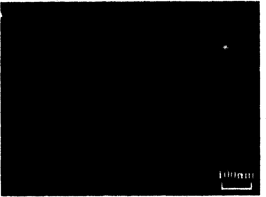 Process for preparing porous anode aluminium oxide mould of height ordered by mixed acid electrolyzing liquid