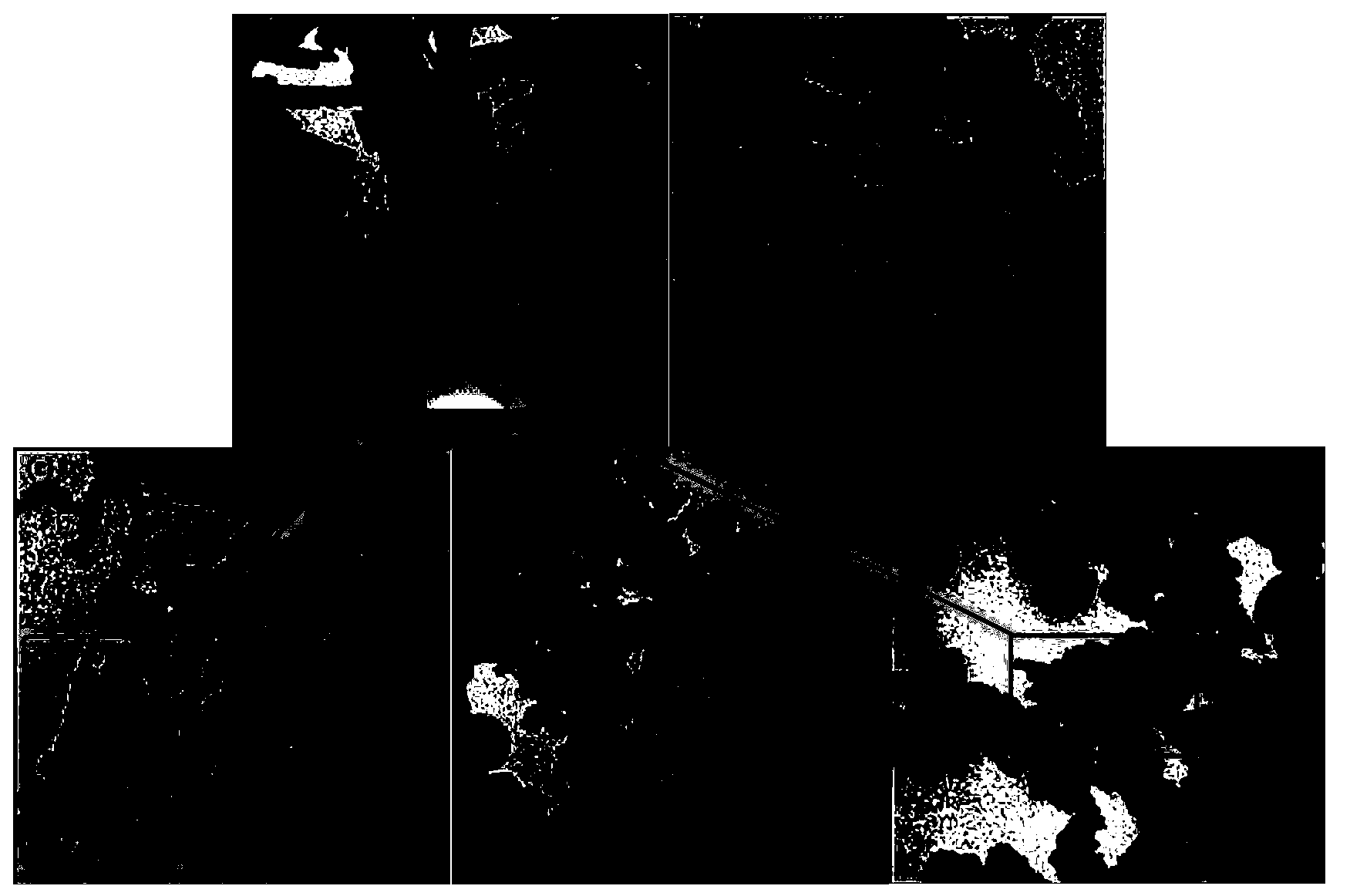 Preparation method of fuel-cell catalyst Pt/WO3/C