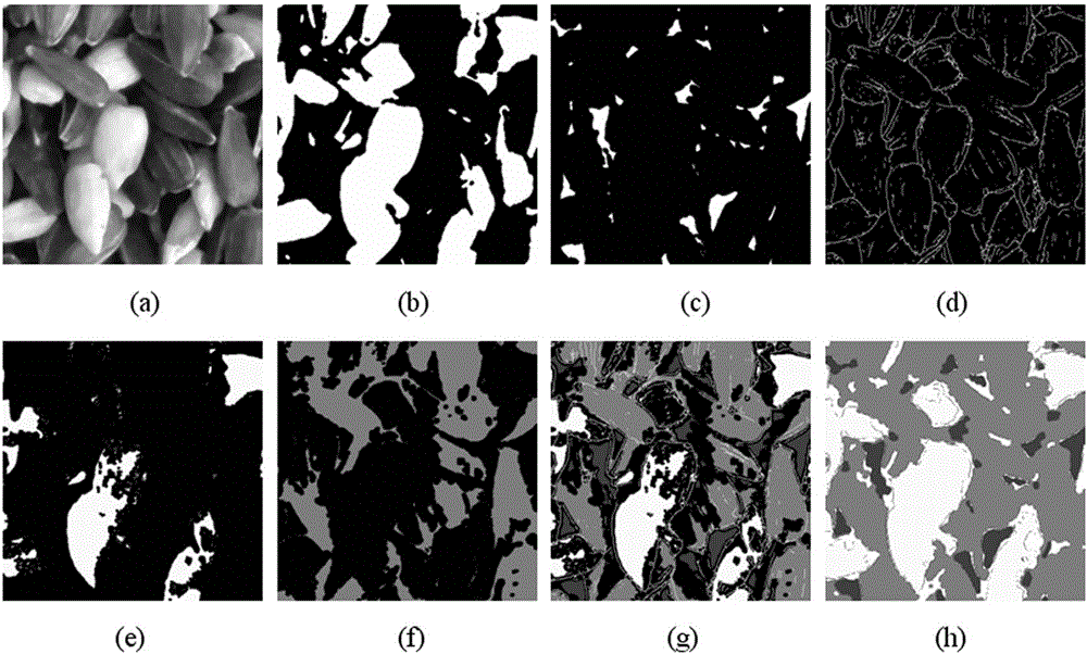 Method for efficiently shelling sunflower seeds on basis of vision technologies