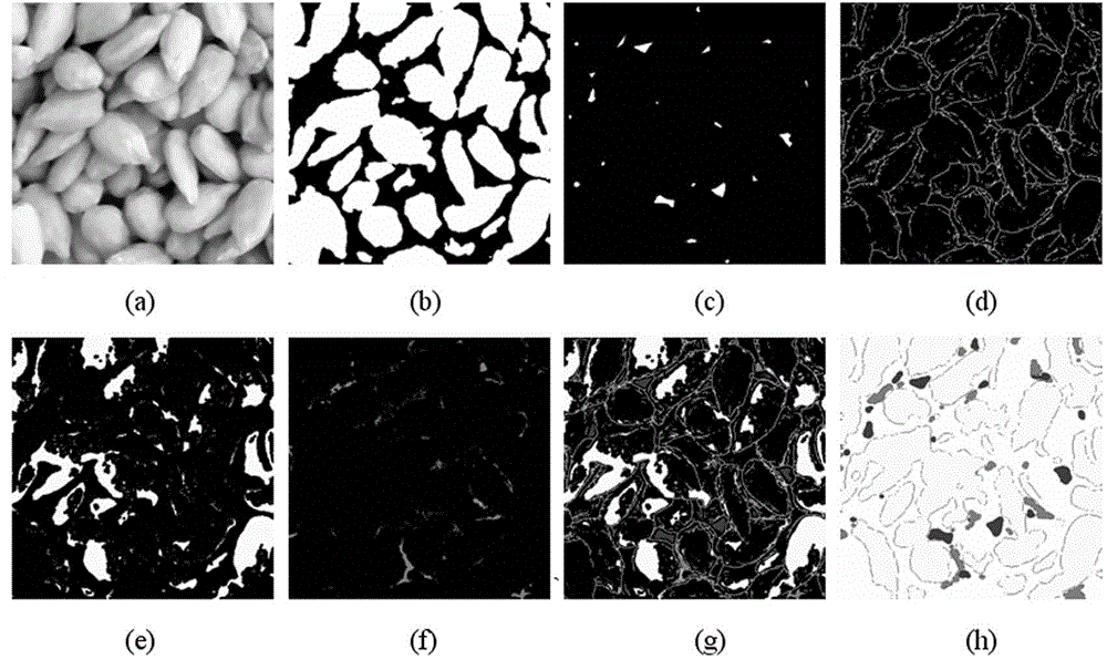 Method for efficiently shelling sunflower seeds on basis of vision technologies