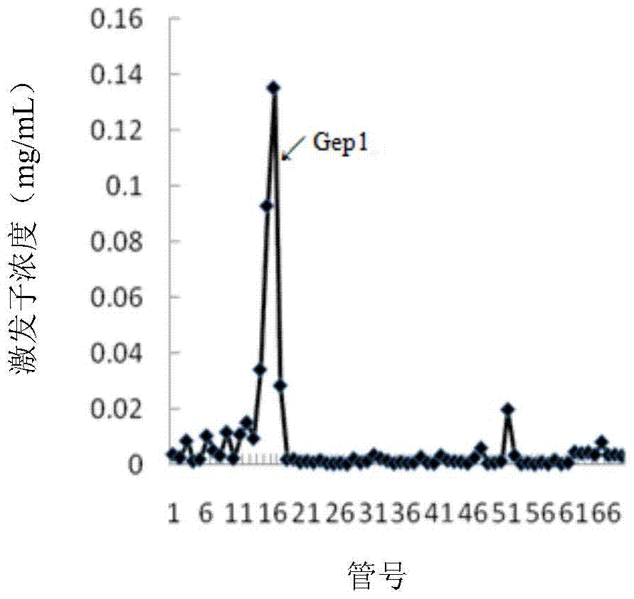 A Phytophthora polysaccharide elicitor gep1 and its application in improving plant disease resistance