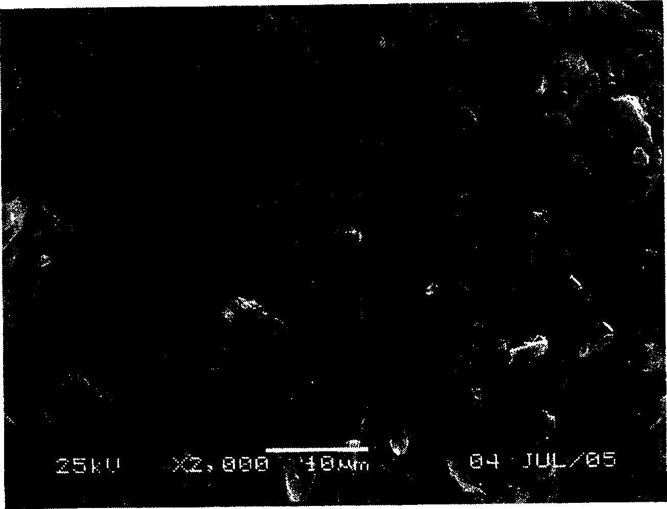 Method for preparing anode material gamma-LiV2O5 of lithium ion battery