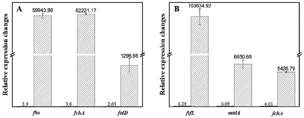 Method for producing L-5-methyltetrahydrofolate by biological method