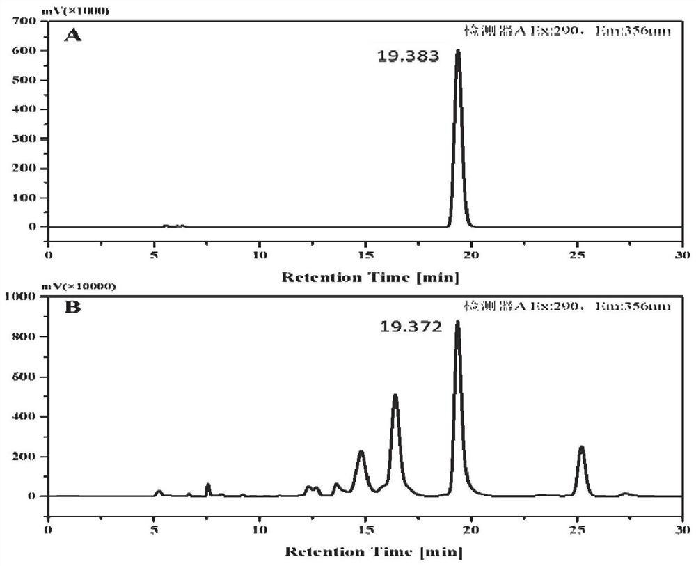 Method for producing L-5-methyltetrahydrofolate by biological method