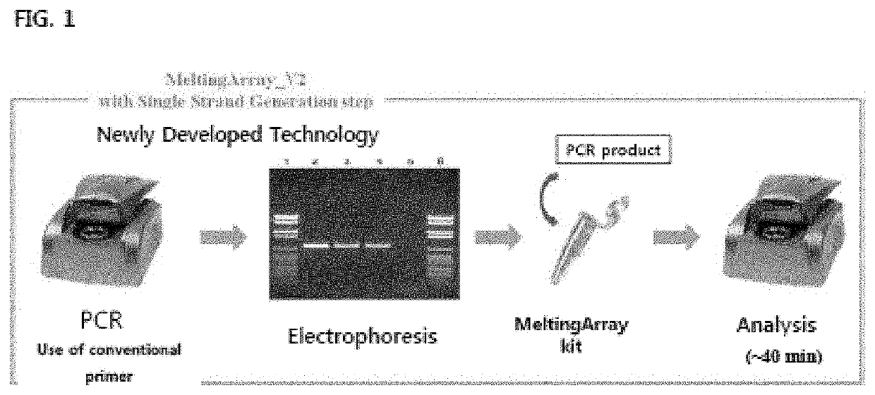 Genetic markers for discrimination and detection of viral hemorrhagic septicemia virus causing infectious aquatic organism diseases, and method of discriminating and detecting the virus using the same