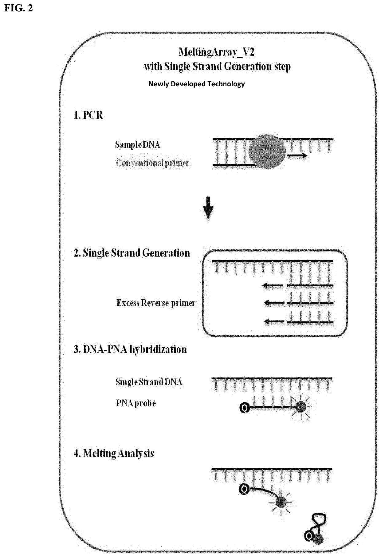 Genetic markers for discrimination and detection of viral hemorrhagic septicemia virus causing infectious aquatic organism diseases, and method of discriminating and detecting the virus using the same