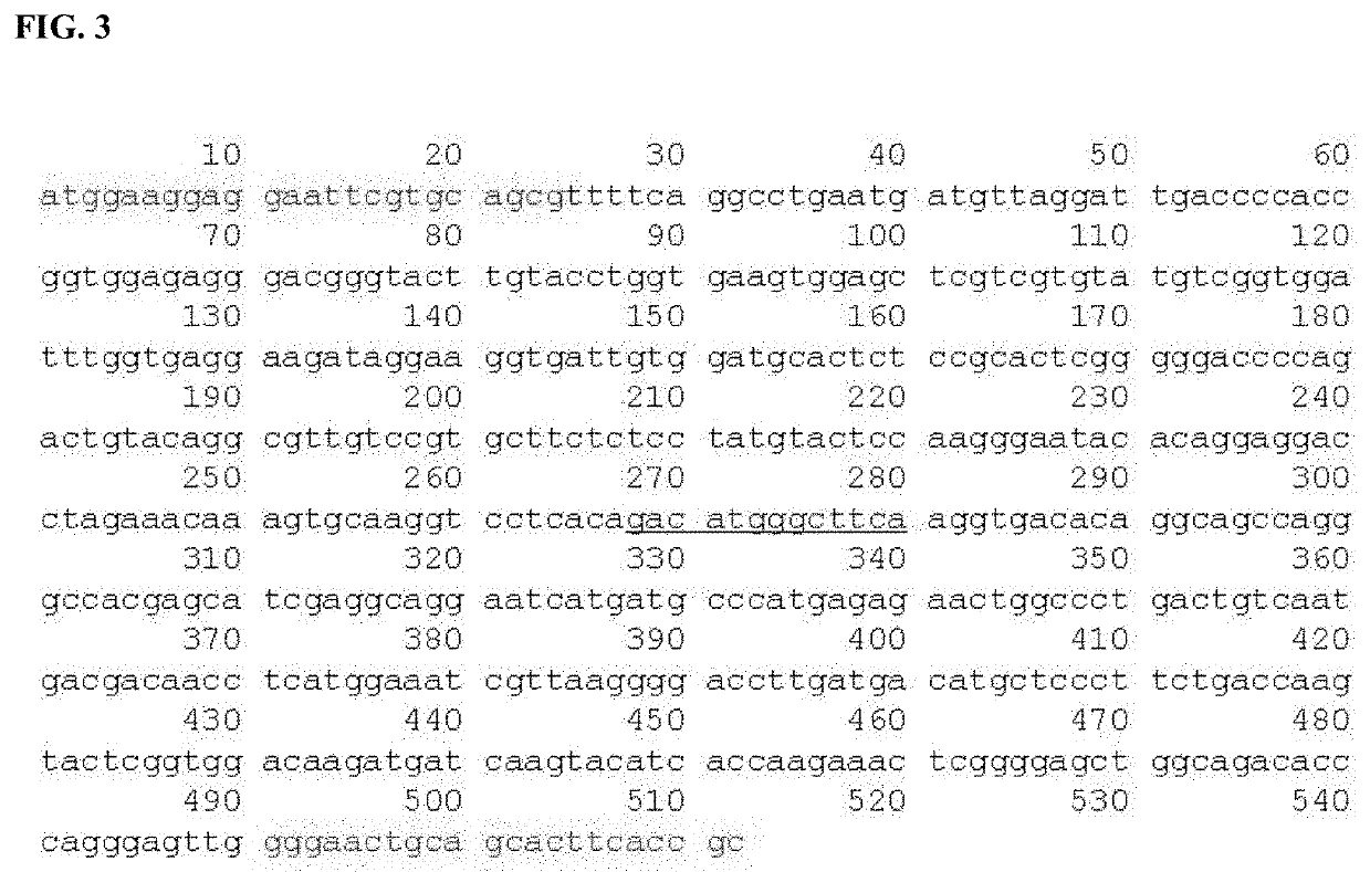 Genetic markers for discrimination and detection of viral hemorrhagic septicemia virus causing infectious aquatic organism diseases, and method of discriminating and detecting the virus using the same