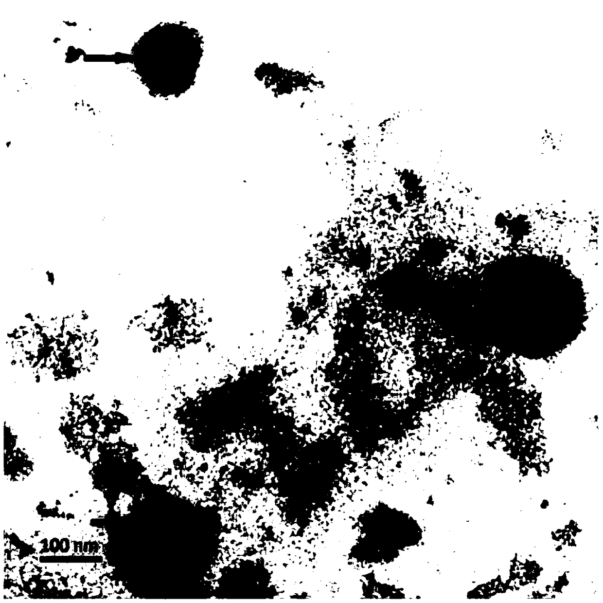 Application of cyanobacteria and extracellular vesicle thereof in preparation of medicines for treating diseases