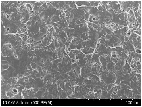 Composite solid-state electrolyte membrane, preparation method and solid-state lithium battery