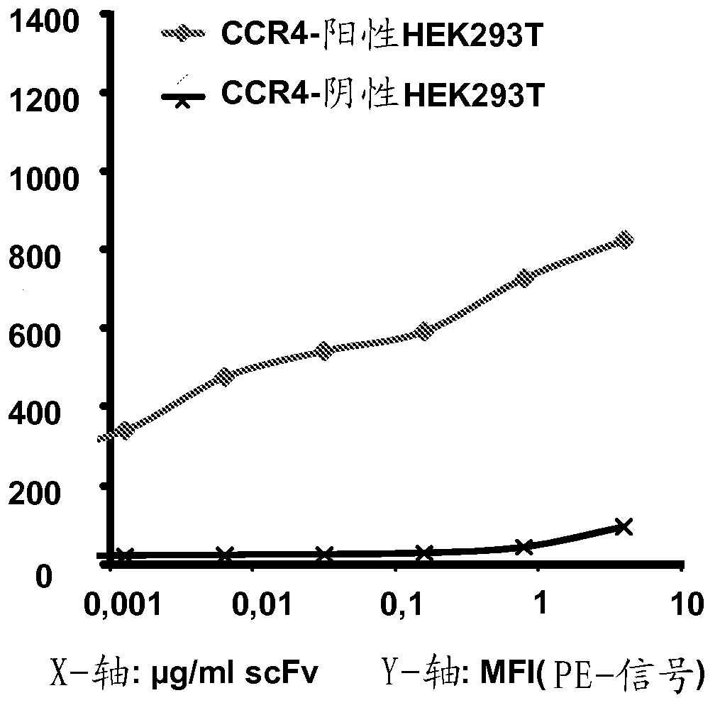 Anti CCR4 antibodies and uses thereof