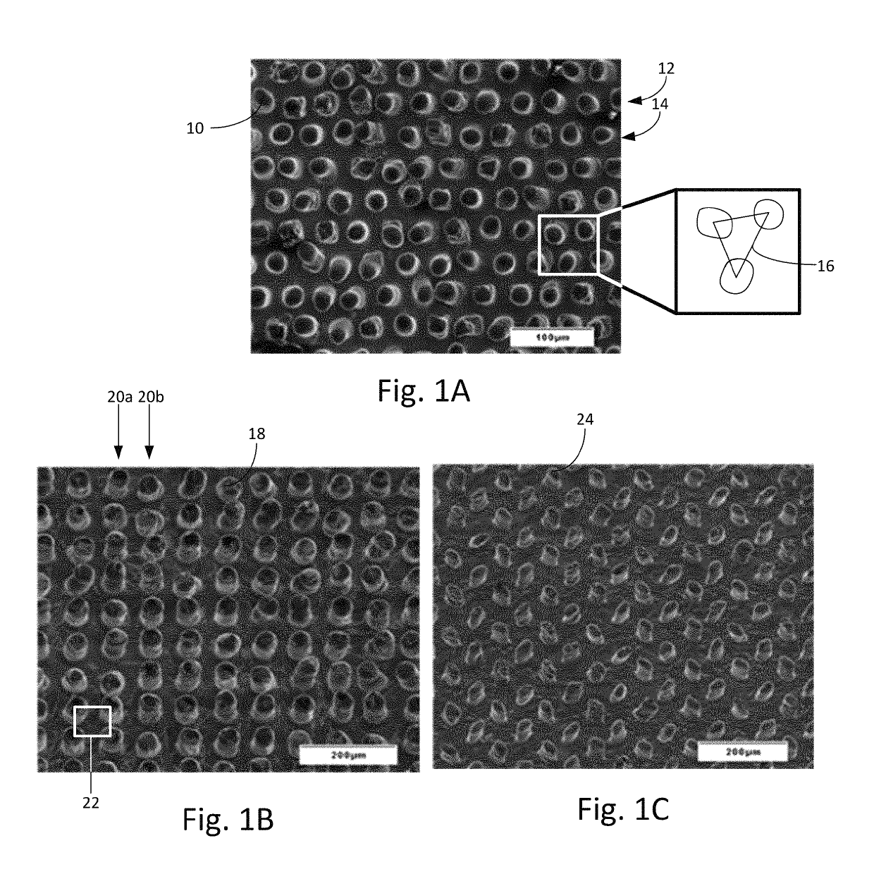 Microstructure arrangement for gripping low coefficient of friction materials