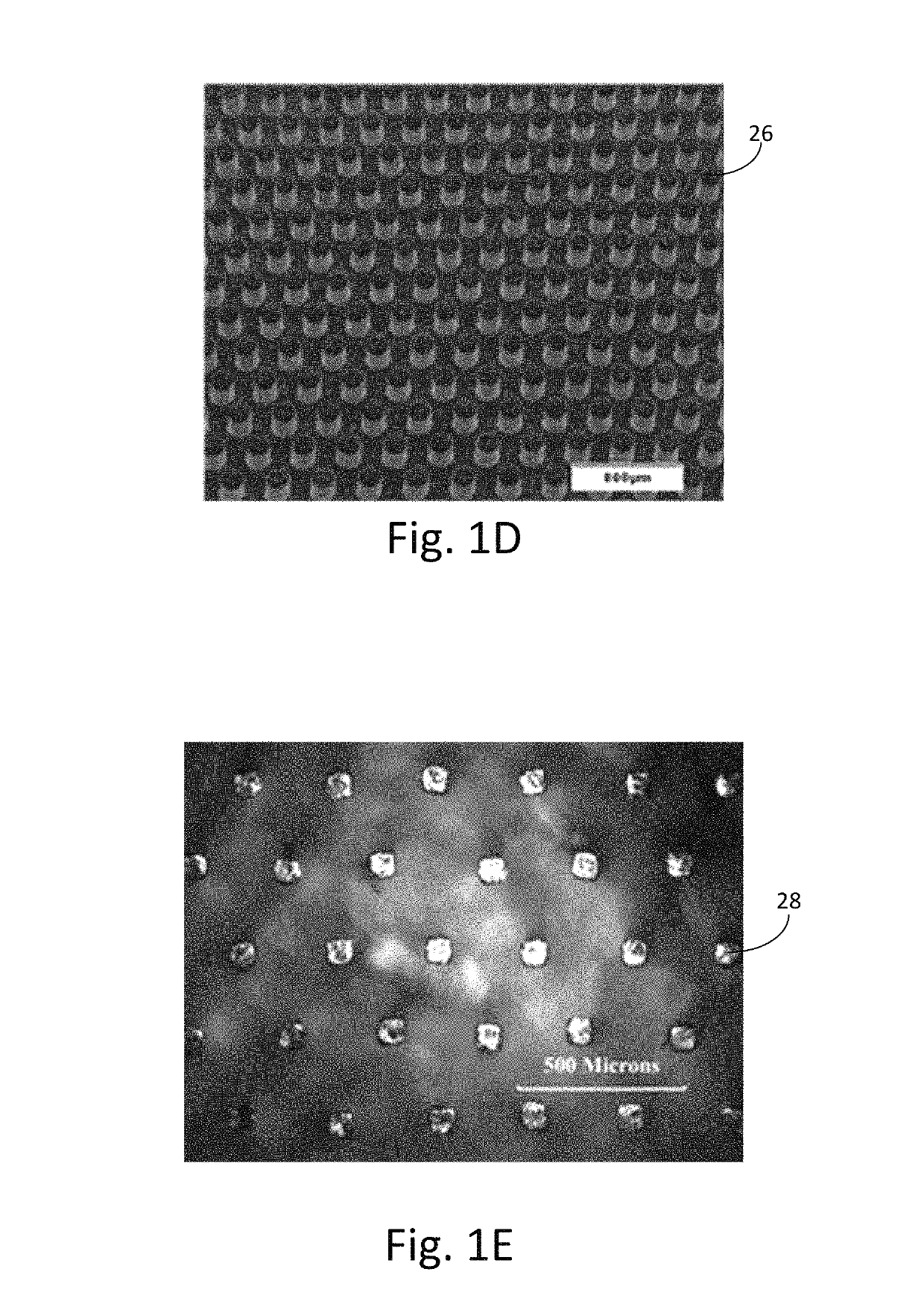 Microstructure arrangement for gripping low coefficient of friction materials