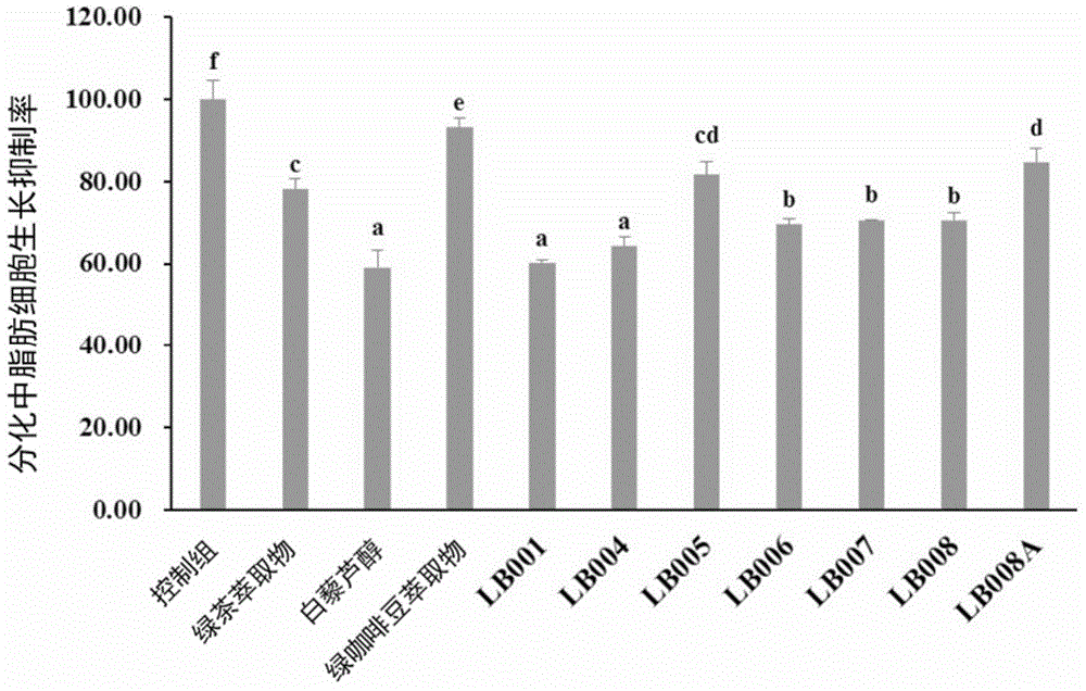 PLANT EXTRACT COMPOSITION, and pharmaceutical COMPOSITION and APPLICATION THEREOF