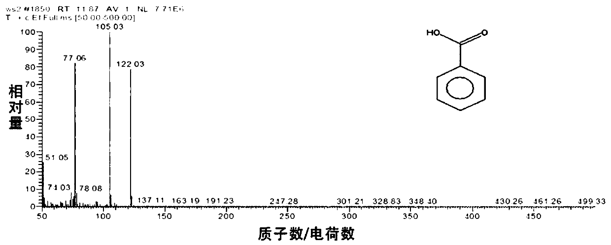 Molybdenum disulfide/formamidinium lead bromate composite photocatalyst, and preparation method and applications thereof