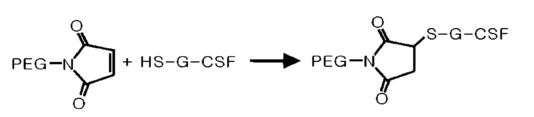 Mutant of Granulocyte-Colony Stimulating Factor (G-Csf) and Chemically Conjugated Polypeptide Thereof