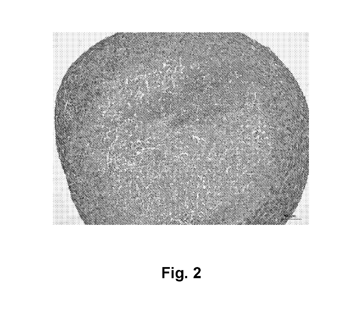 Three Dimensional Bioprinted Tumor Models for Drug Testing