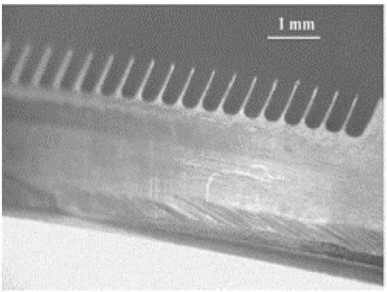 Rasterization dielectric lens with high power capacity