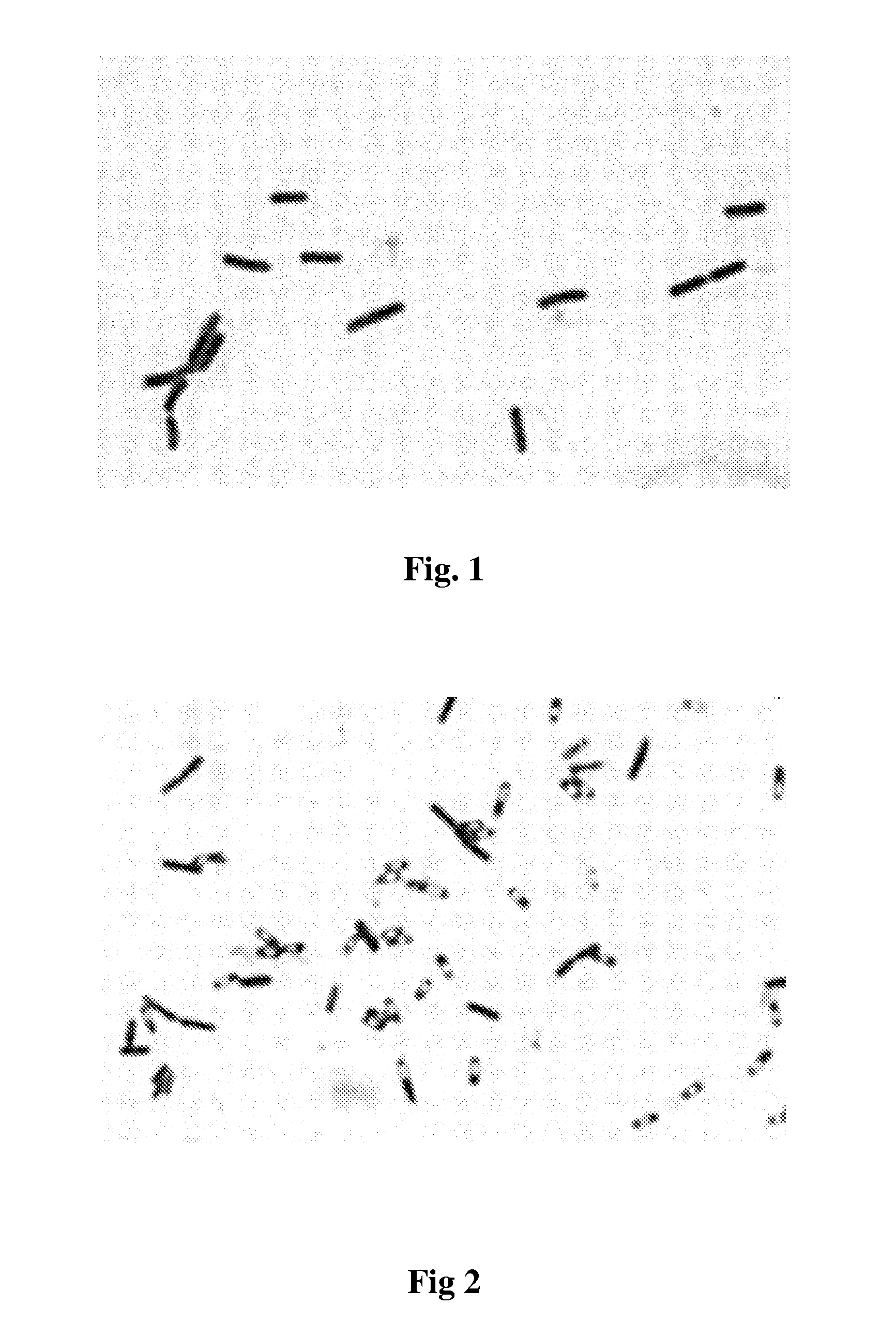 Bacillus subtilis mutant strain and a fermentation method for producing acetoin using this organism