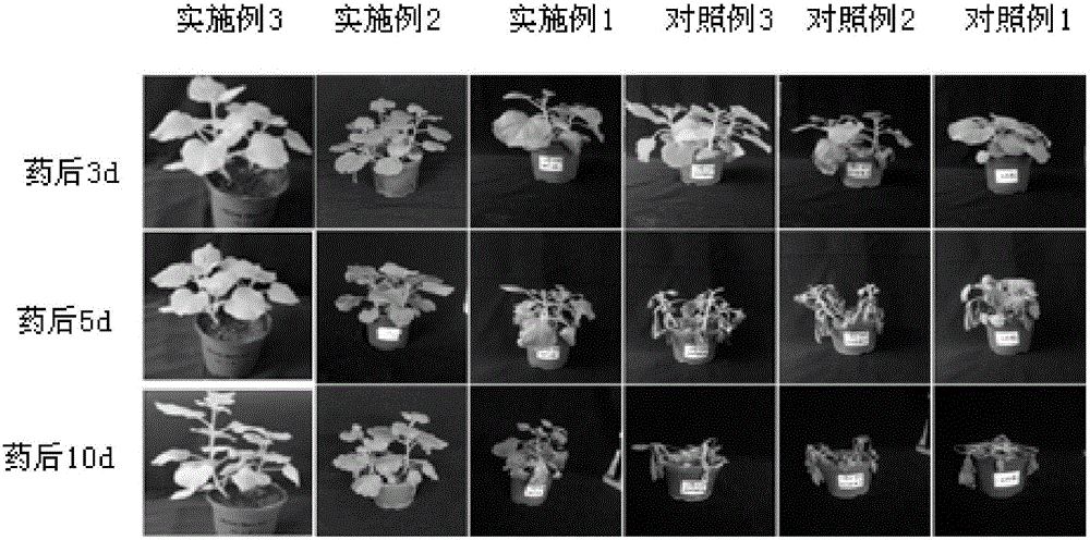 Application of attenuated CMV (cucumber mosaic virus) vector expression resistance gene in enhancing plant herbicide resistance