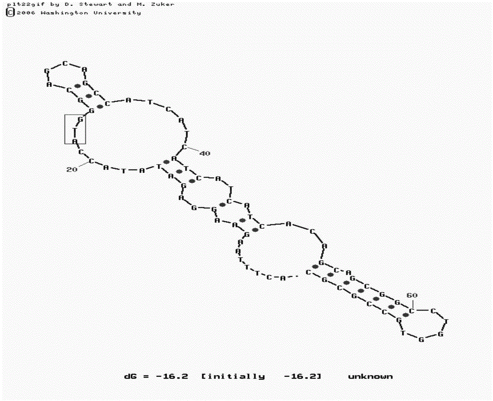 Method for improving protein expression efficiency by employing model fitting and gene modification and application thereof