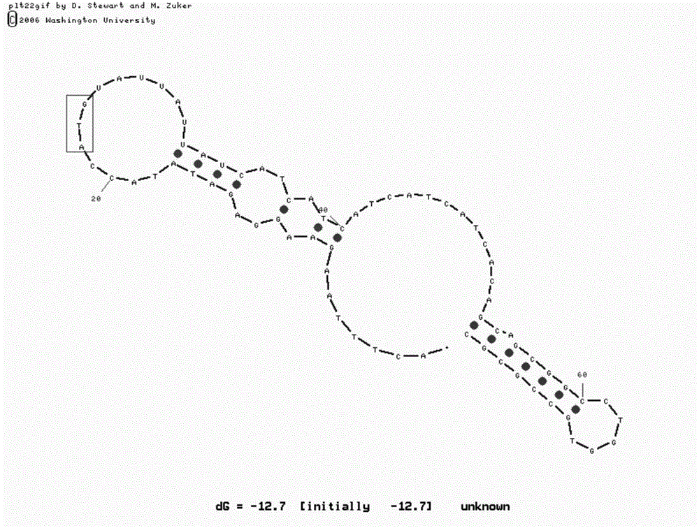 Method for improving protein expression efficiency by employing model fitting and gene modification and application thereof