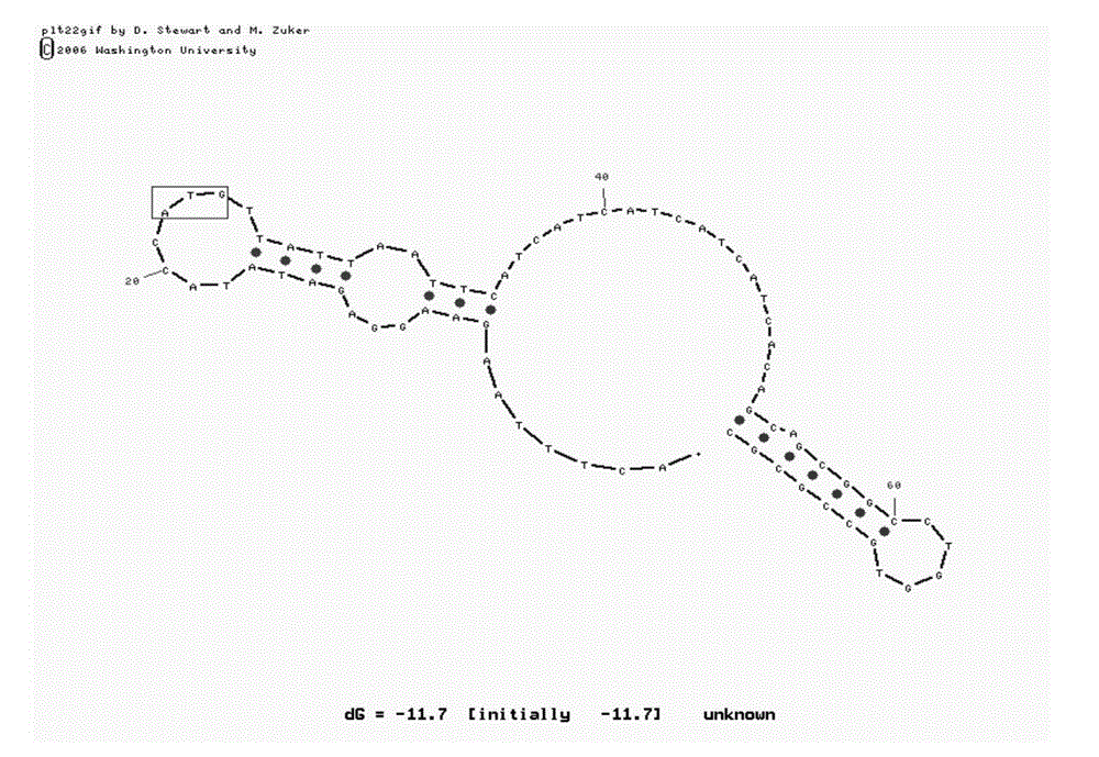 Method for improving protein expression efficiency by employing model fitting and gene modification and application thereof