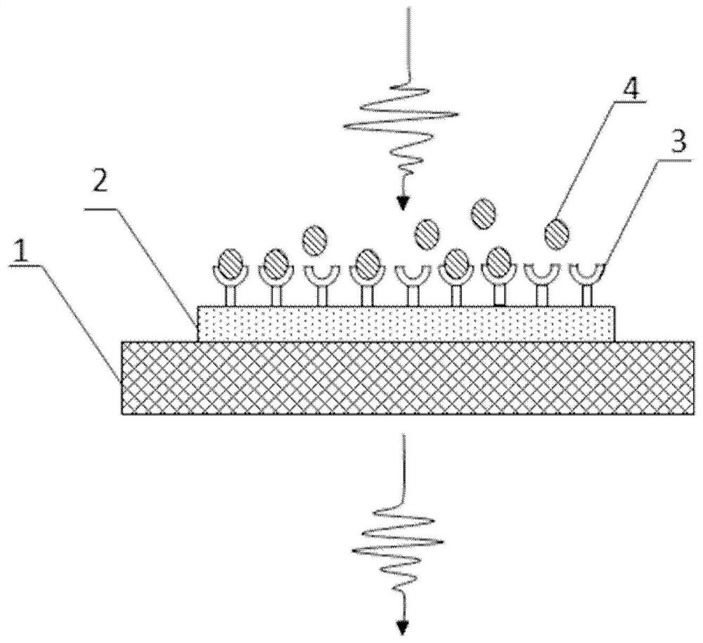 Terahertz metamaterial biosensor and its preparation method and detection method