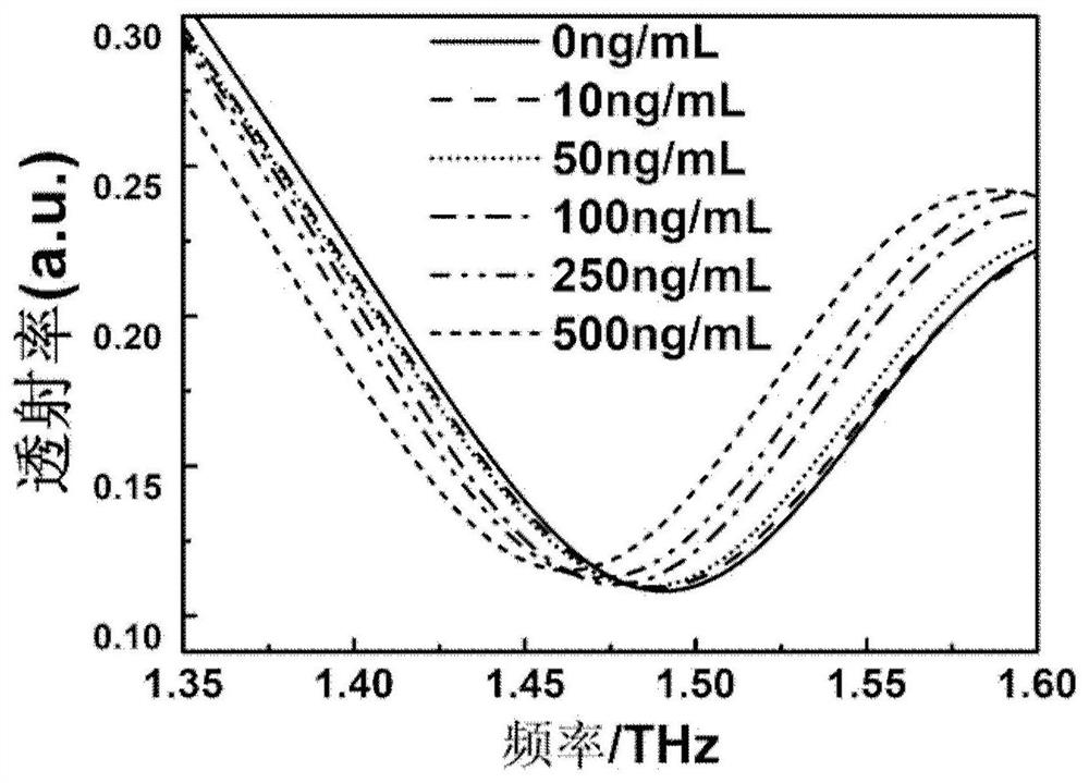 Terahertz metamaterial biosensor and its preparation method and detection method