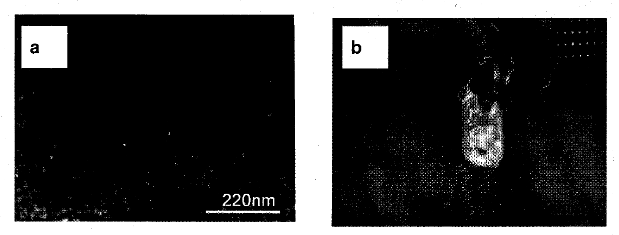 Fe-Ni base precipitation-strengthened austenite alloy and preparation method thereof