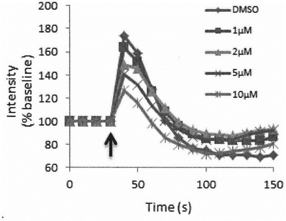 Application of ginsenoside Rg1 serving as CCL2-CCR2 signaling pathway inhibitor and central anti-inflammatory drug