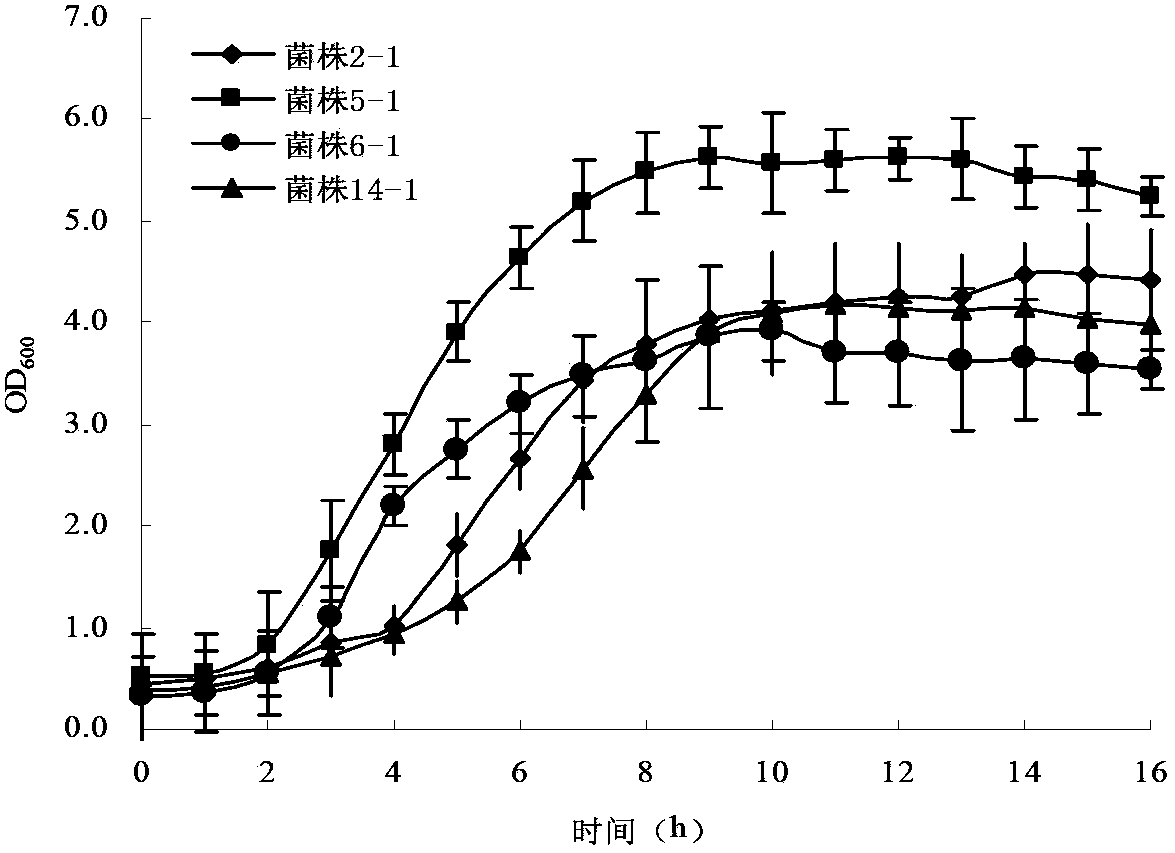 Antibacterial peptide mixed solution and method for preserving freshness of foods by antibacterial peptide mixed solution