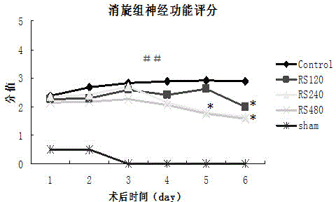 Novel application of oxiracetam or levo-oxiracetam in field of pharmaceuticals