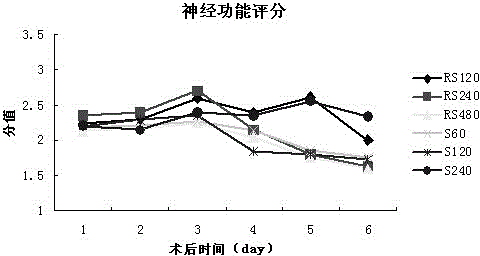 Novel application of oxiracetam or levo-oxiracetam in field of pharmaceuticals