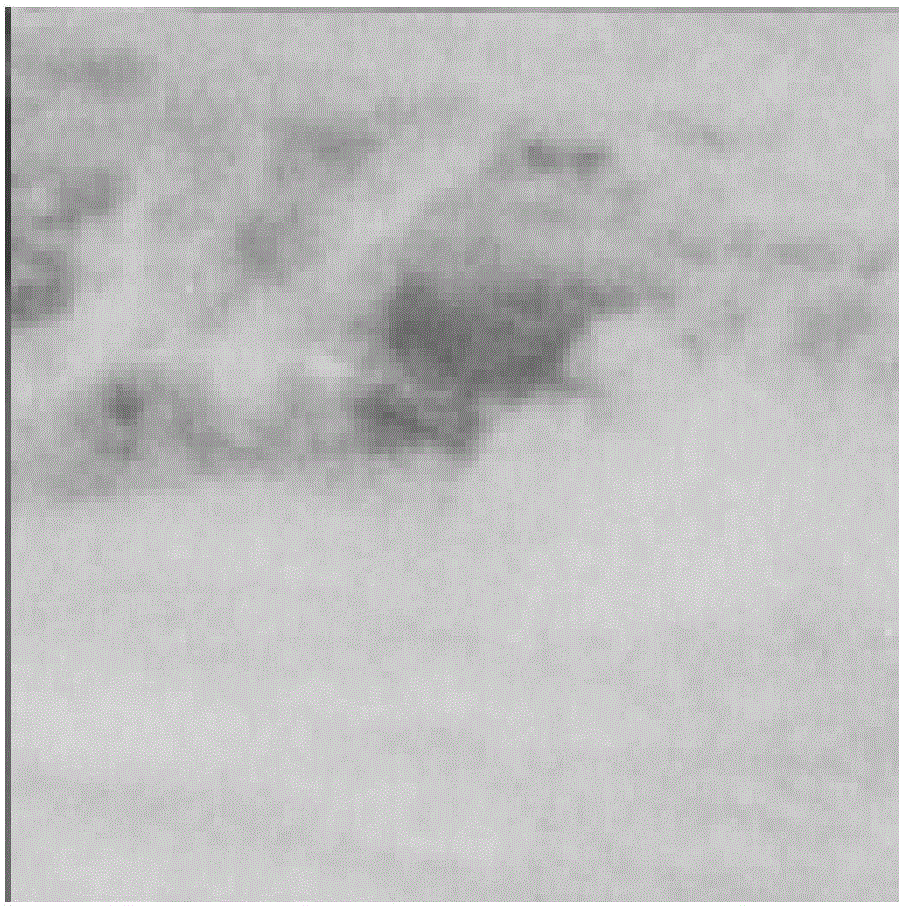 Real-hidden and fake-display satellite data transmission method