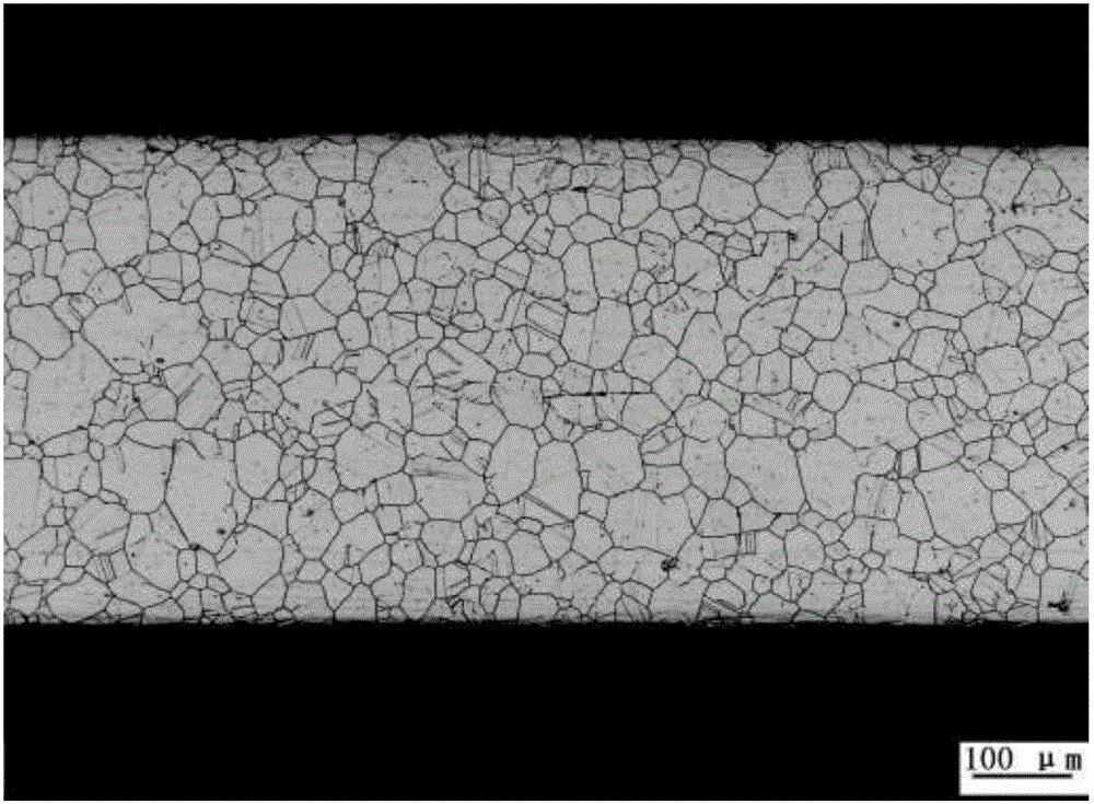 Test method of metallographic structure of austenitic stainless steel pipe for nuclear power