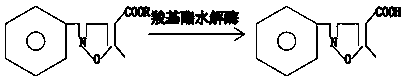 Application of immobilized carboxyester hydrolase in side chain synthesis of cloxacillin, dicloxacillin, flucloxacillin and oxacillin