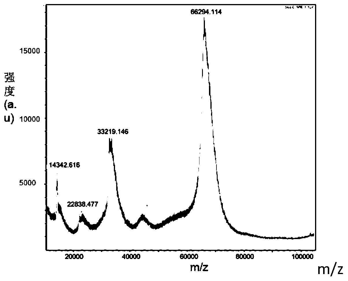 Use of a triclosan monoclonal antibody and/or triclocarban monoclonal antibody in the detection of triclosan and/or triclocarban