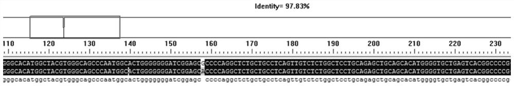 A molecular marker related to chicken egg production traits and its application in chicken breeding