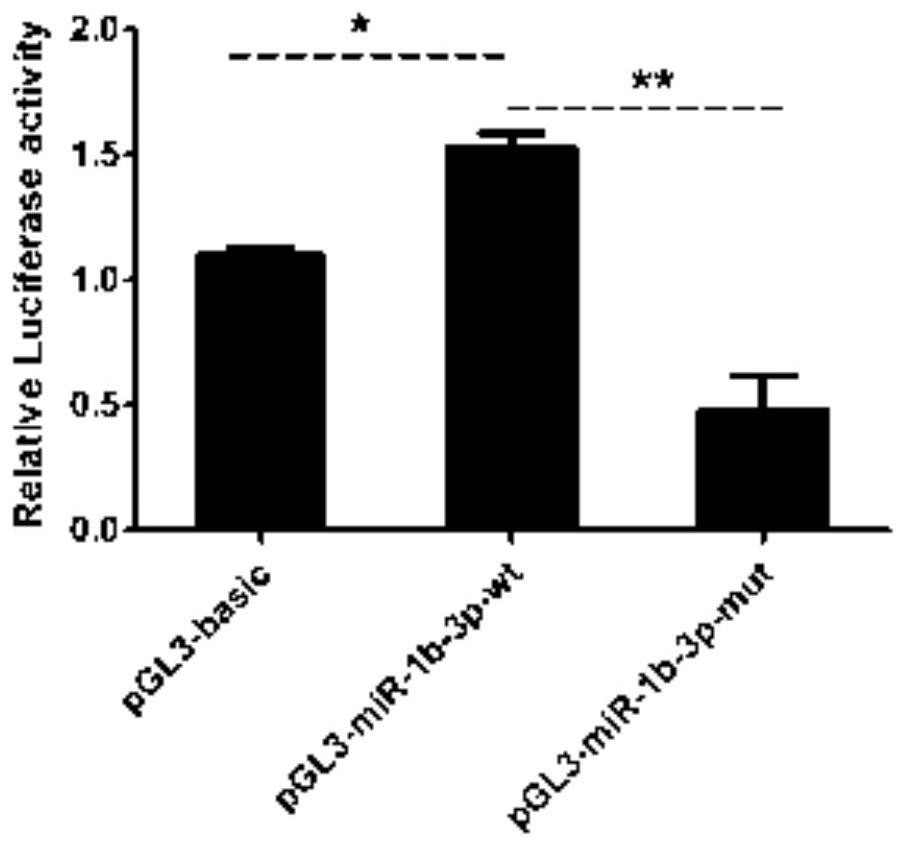 A molecular marker related to chicken egg production traits and its application in chicken breeding