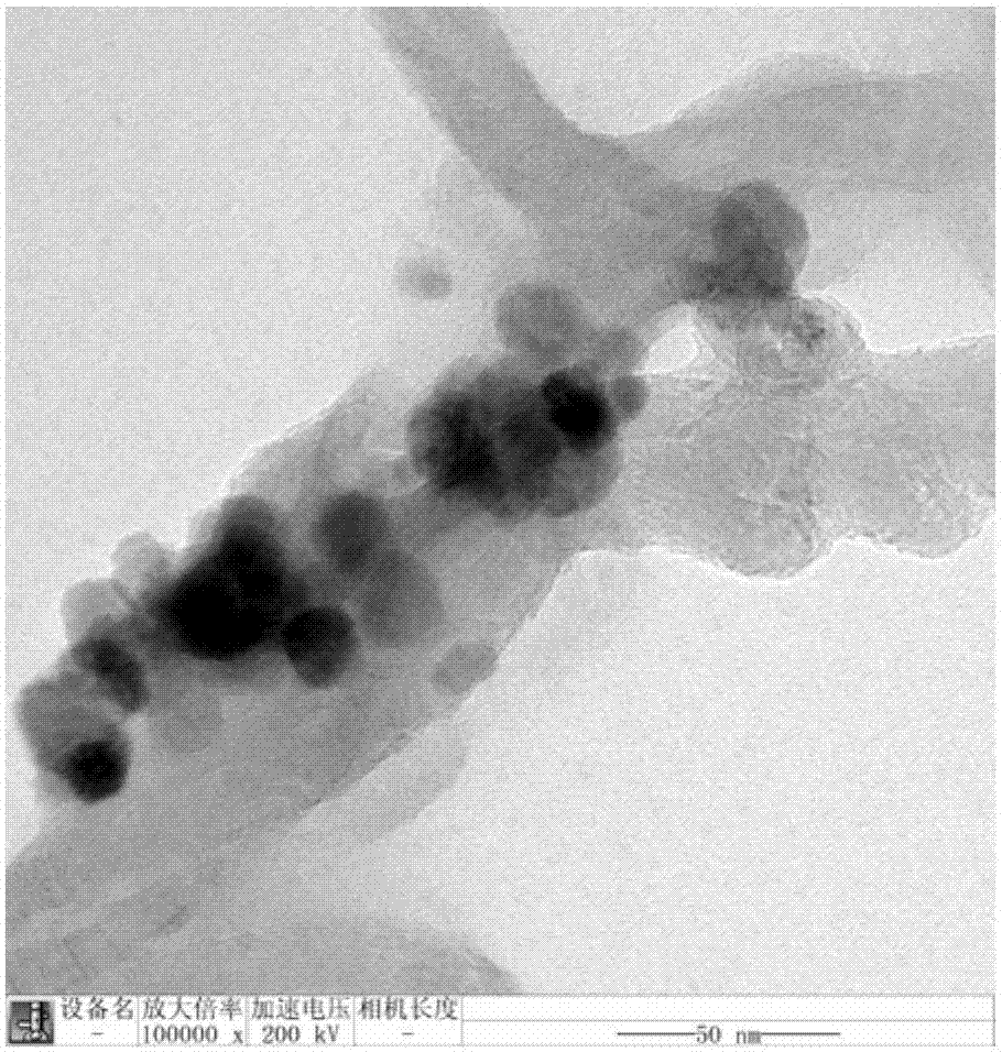 Preparation and application method of carbon nanotube-based magnetic bactericide molecularly imprinted polymer