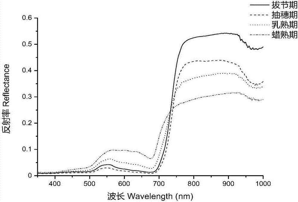 Hyperspectral estimation method for chlorophyll contents at different rice growth periods