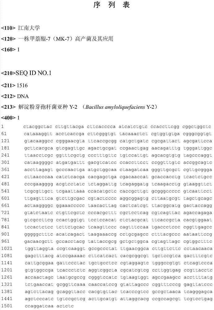 Menadione-7(MK-7) high-yielding strain and application thereof