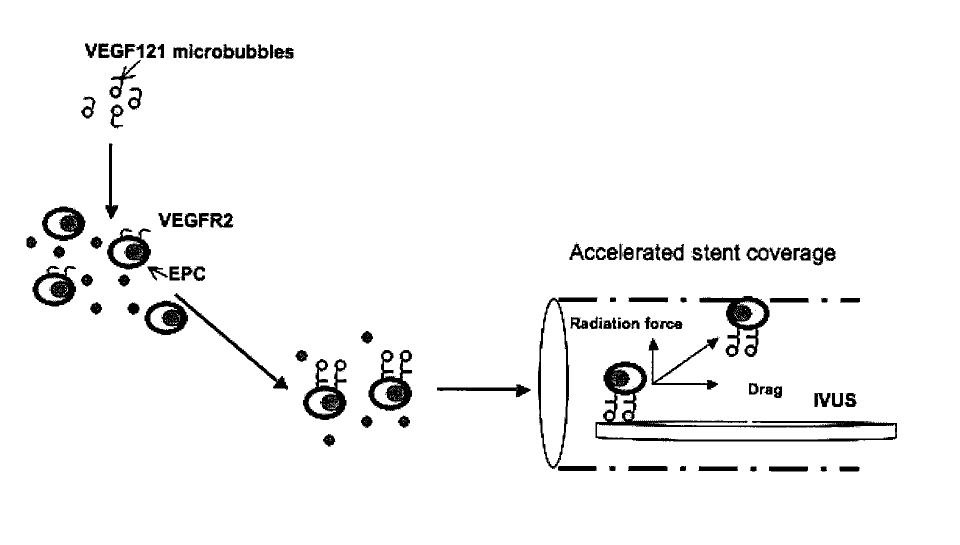 Directed Cell-Based Therapy Using Microbubble Tagged Cells