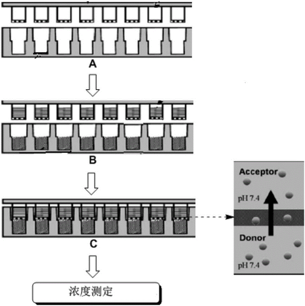 Application of 8-substituted oxoisoaporphine derivatives