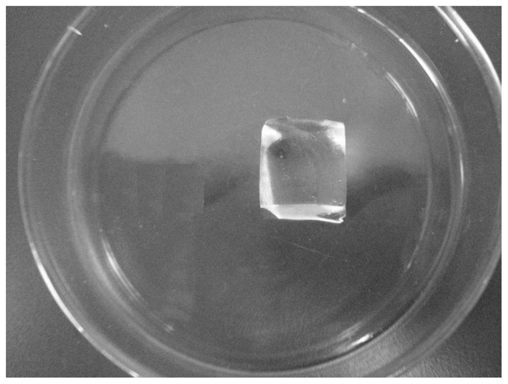 Silk fibroin/functionalized polytrimethylene carbonate hydrogel for repairing endometrium and preparation method